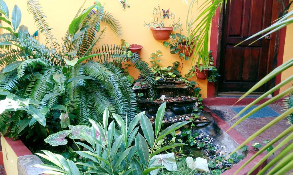 Hotel La Cabana Puerto Angel Luaran gambar