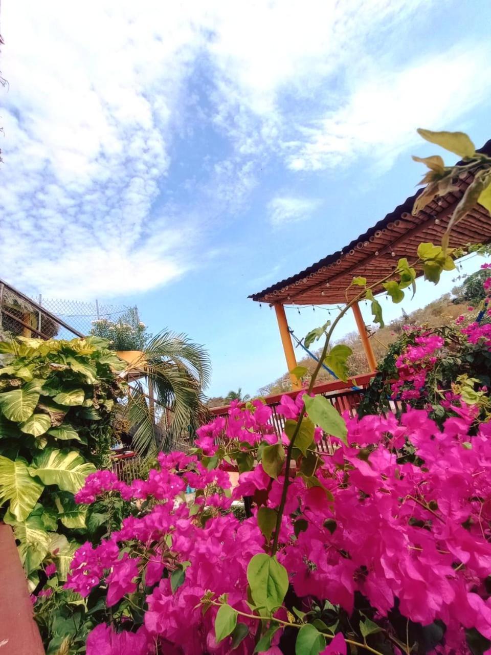 Hotel La Cabana Puerto Angel Luaran gambar